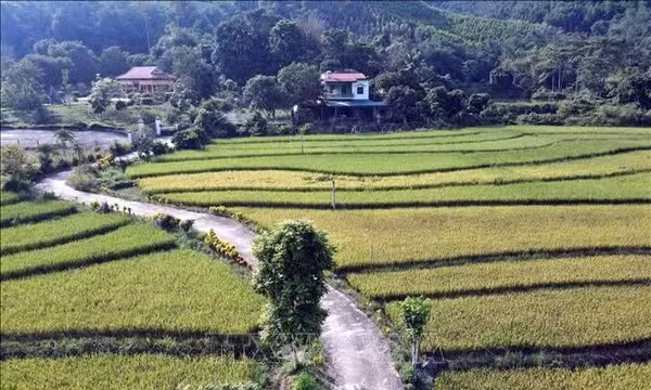 Tuyên Quang: Mục tiêu có 60 xã đạt chuẩn nông thôn mới vào năm 2030