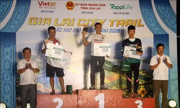 Giải chạy Gia Lai City Trail - Giấc mơ đại ngàn năm 2026