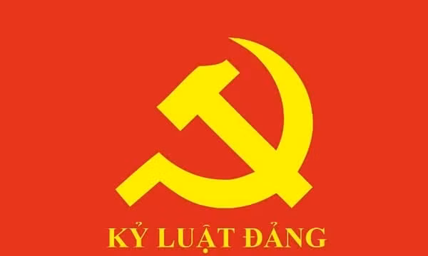Thi hành kỷ luật, khai trừ một số đảng viên vi phạm quy định của Đảng