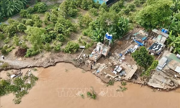 Sạt lở bờ sông đe dọa hàng nghìn hộ dân ở An Giang