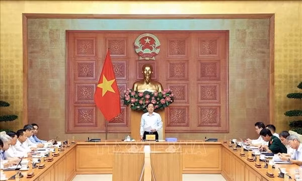 Quy hoạch lâm nghiệp phải hài hòa phát triển kinh tế, sinh kế