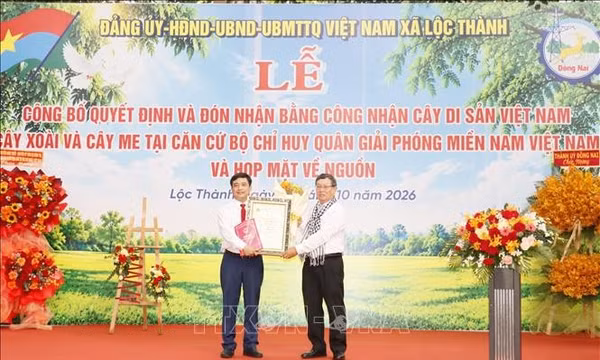 Đồng Nai: Công bố quyết định công nhận Cây Di sản Việt Nam 