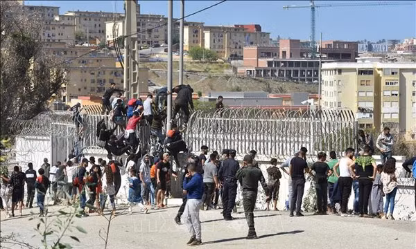 Người di cư trèo qua hàng rào biên giới để vào vùng lãnh thổ Ceuta của Tây Ban Nha từ thành phố Fnideq, Maroc. Ảnh: THX/TTXVN phát