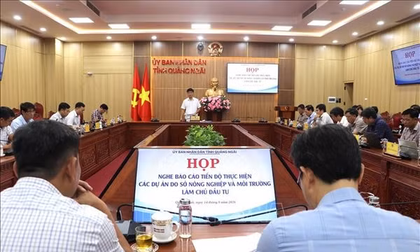 Quảng Ngãi chạy nước rút giải ngân, tháo gỡ vướng mắc các dự án