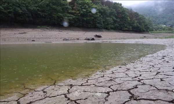 Lý giải những đánh giá khác nhau về cường độ El Nino