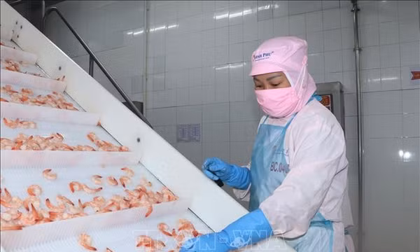 Kinh tế tư nhân - Bài 2: Gỡ điểm nghẽn để khơi thông nguồn lực tăng trưởng
