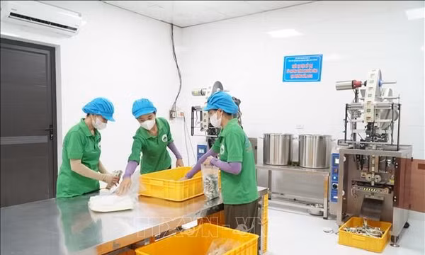 Kinh tế tư nhân-Bài 1: Lực lượng dẫn dắt tăng trưởng, bước chuyển thể chế