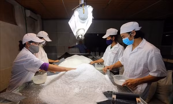 Nghị quyết 10-NQ/TW: Nghệ An đặt mục tiêu thu hút 6-8 tỷ USD vốn FDI