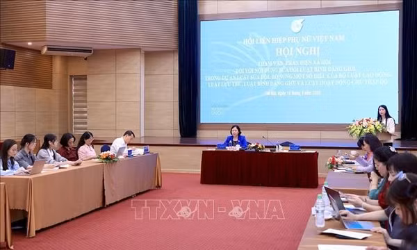 Thúc đẩy giám sát, phản biện xã hội trong thực hiện bình đẳng giới