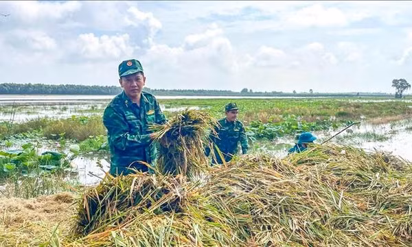 Khẩn trương hỗ trợ người dân giảm thiểu thiệt hại do mưa lũ