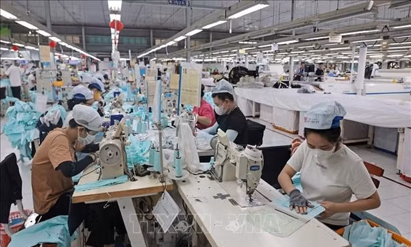 Tám doanh nghiệp dệt may đạt Thương hiệu quốc gia Việt Nam năm 2026
