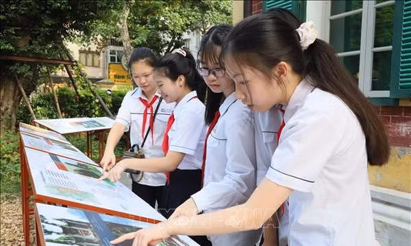 47 tác phẩm nghệ thuật và cách tiếp cận mới với cây xanh đô thị