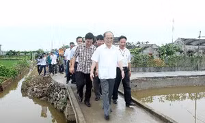 Chủ tịch Quốc hội thăm và làm việc tại Ninh Bình