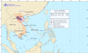 Tin tiếp cơn bão số 6