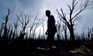 Cần hỗ trợ tâm lý nạn nhân sau bão Haiyan ở Philippines