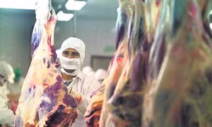 Chế biến thịt bò tại Uruguay (ảnh: El País)