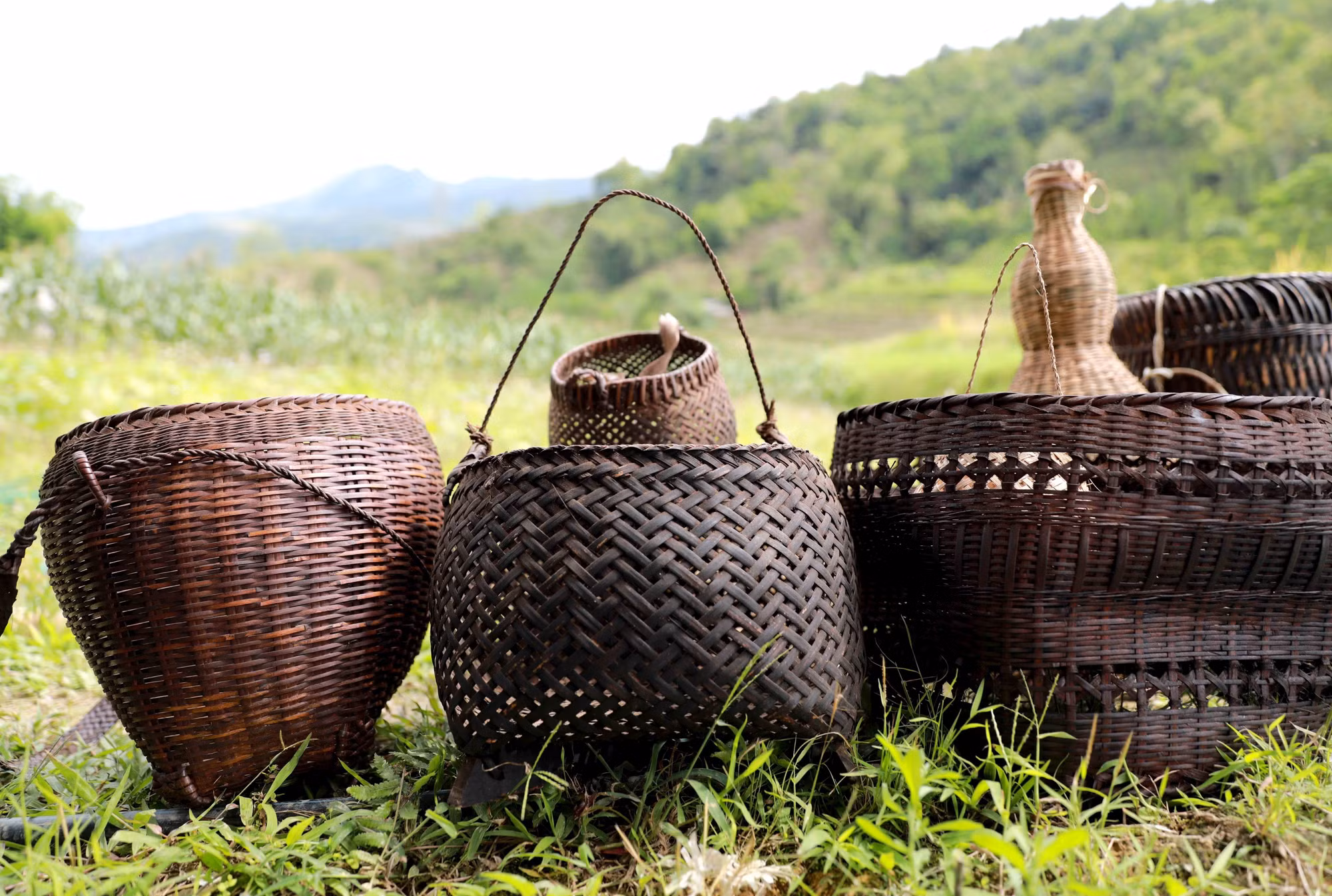 nghe9-13525.jpg