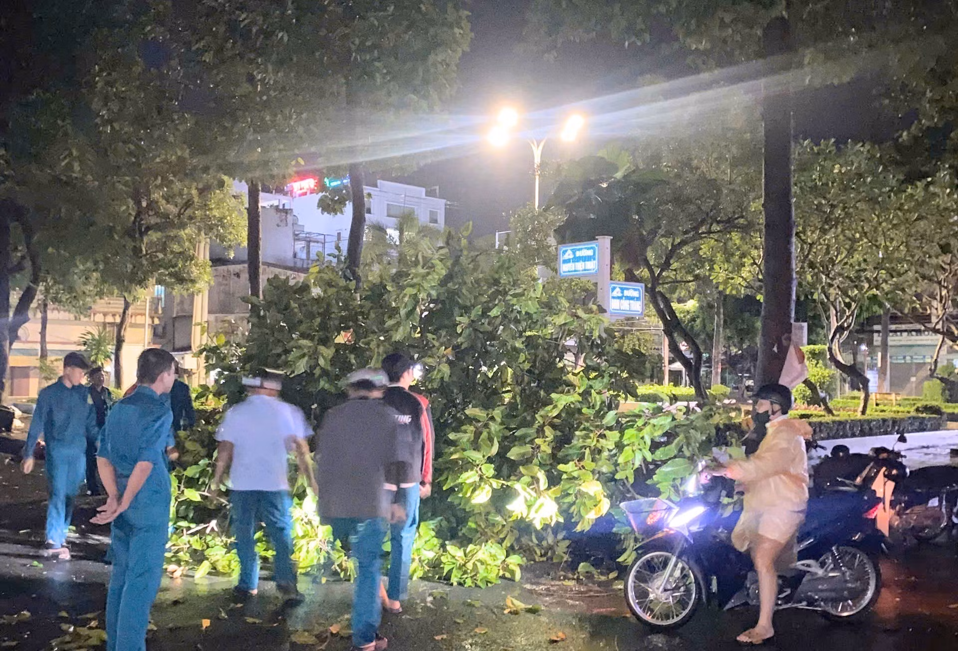 Lực lượng chức năng phường Bình Đức (tỉnh An Giang) xử lý cây đổ trên đường do ảnh hưởng của dông lốc, sáng 22/7. Ảnh: Công Mạo/TTXVN