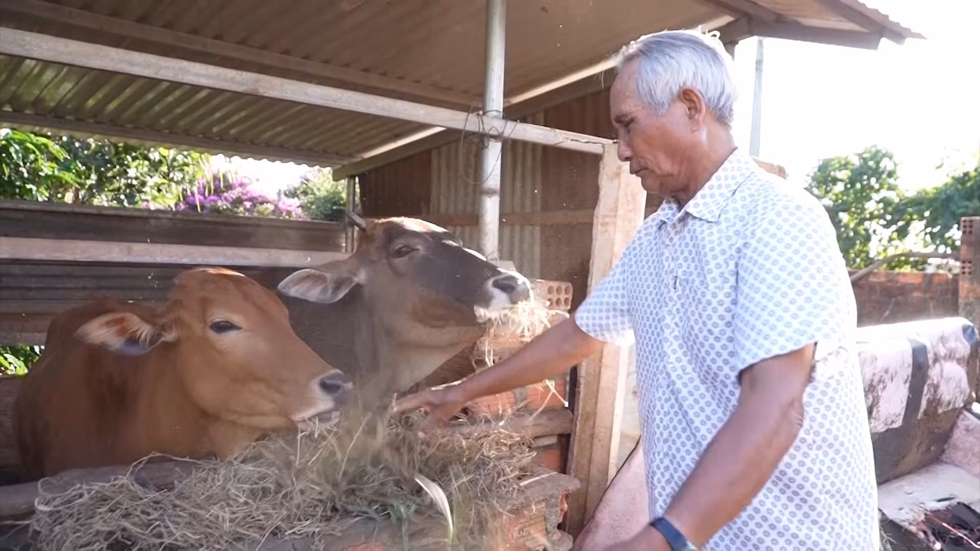 Ông Ybome, xã Hà Bầu, huyện Đăk Đoa (Gia Lai) trở về làm kinh tế gia đình, góp phần xây dựng buôn làng sau những năm lầm đường lạc lối.