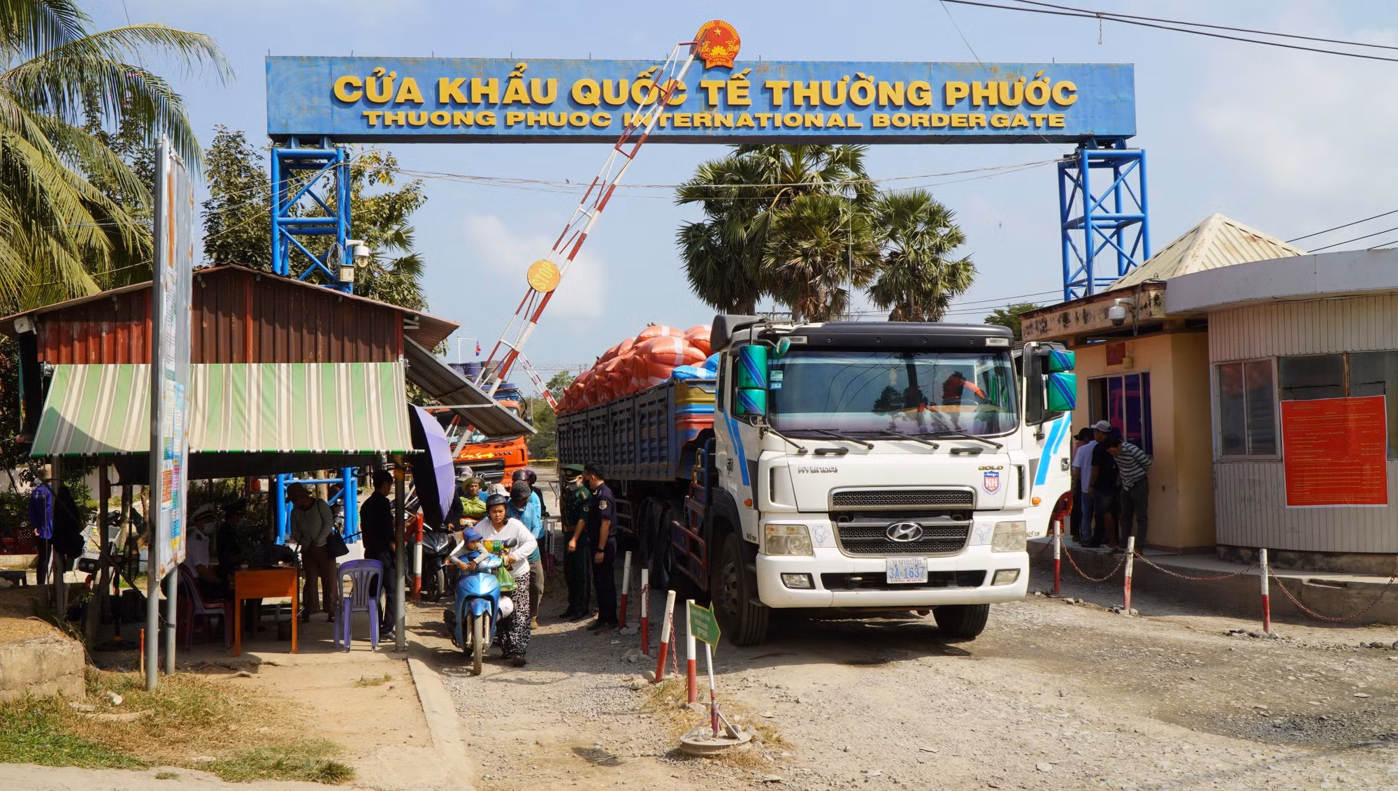 dong-thap5-8726.jpg