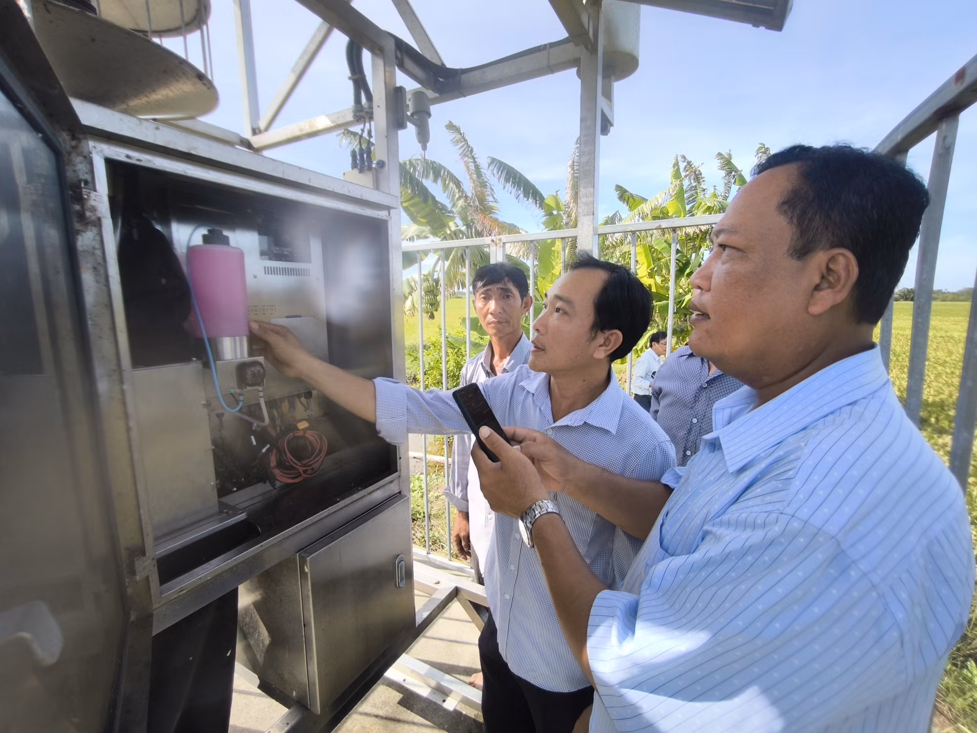 Nông dân khảo sát hệ thống cảnh báo sâu rầy.