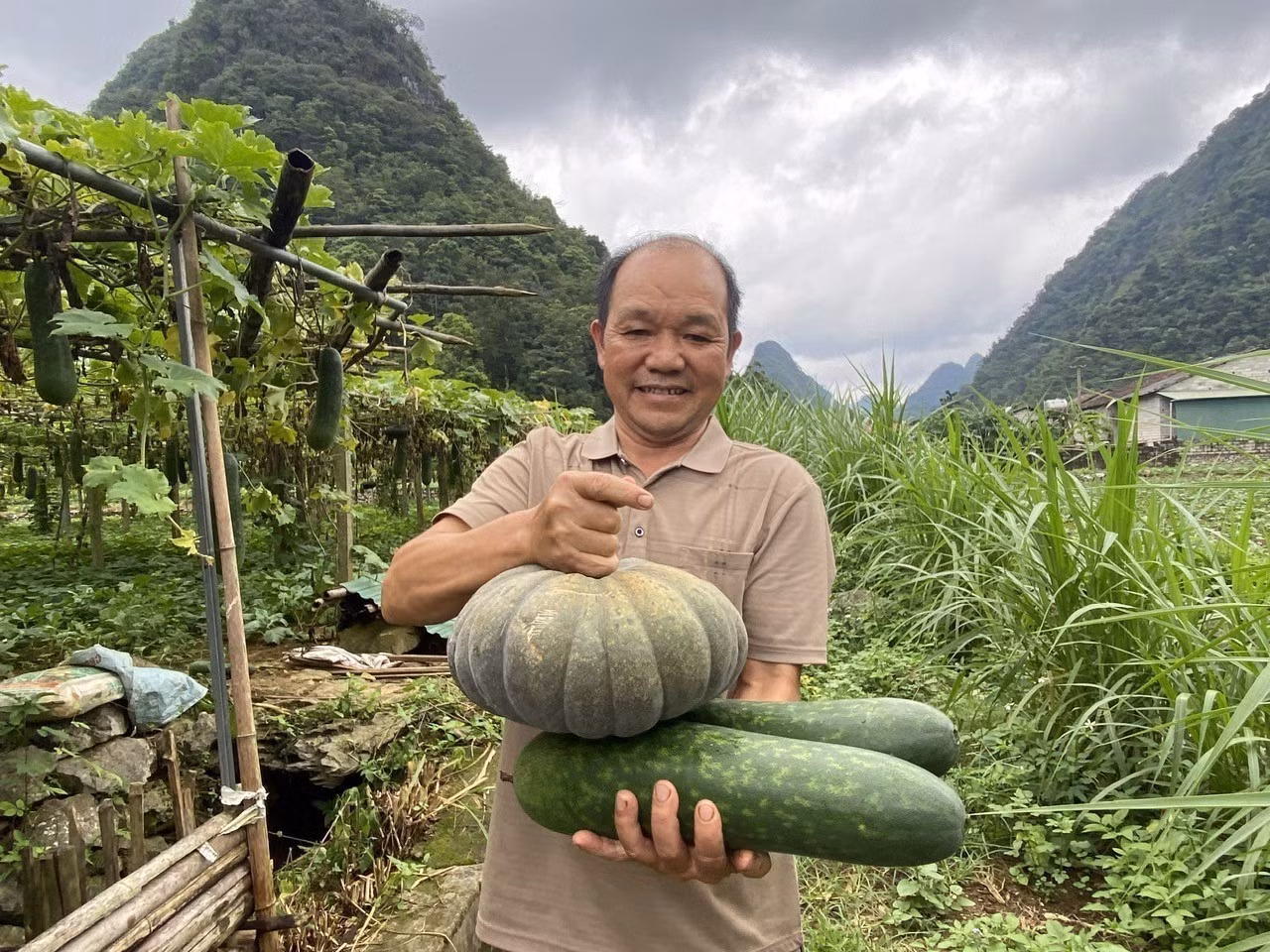 Ông Phùng Văn Chì thu hoạch nông sản.