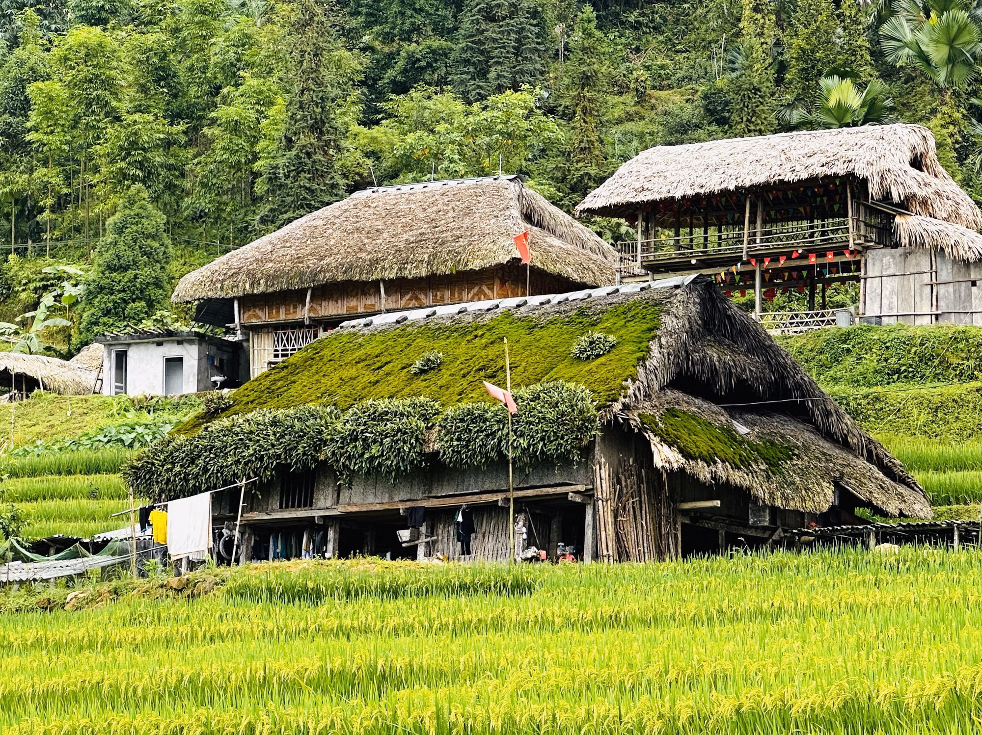 Những ngôi nhà với mái rêu phong xanh giữa núi rừng vùng biên giới Thanh Thủy (Tuyên Quang).