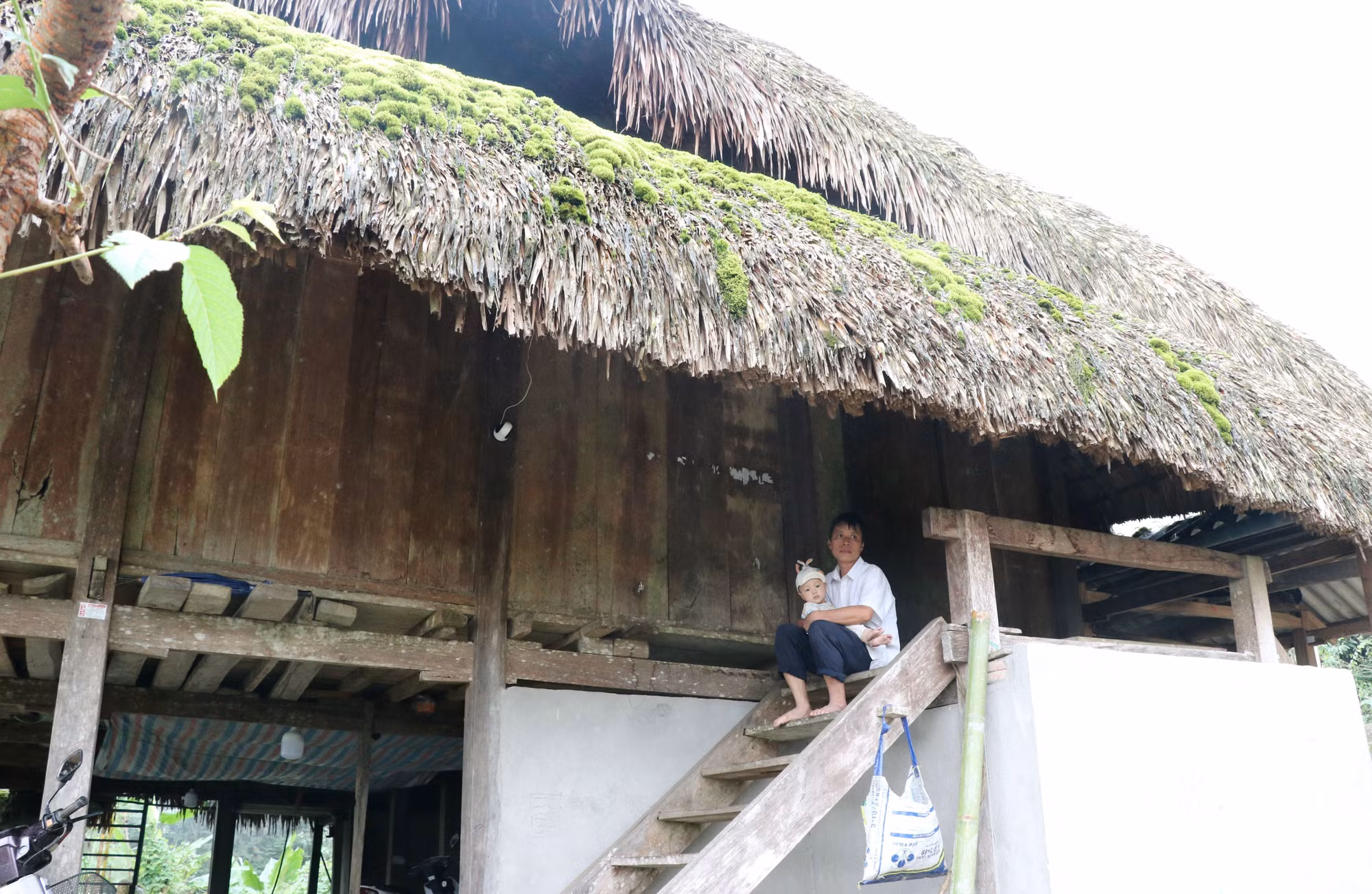 Ngôi nhà mái rêu của đồng bào dân tộc Dao tại vùng biên giới Thanh Thủy (Tuyên Quang).