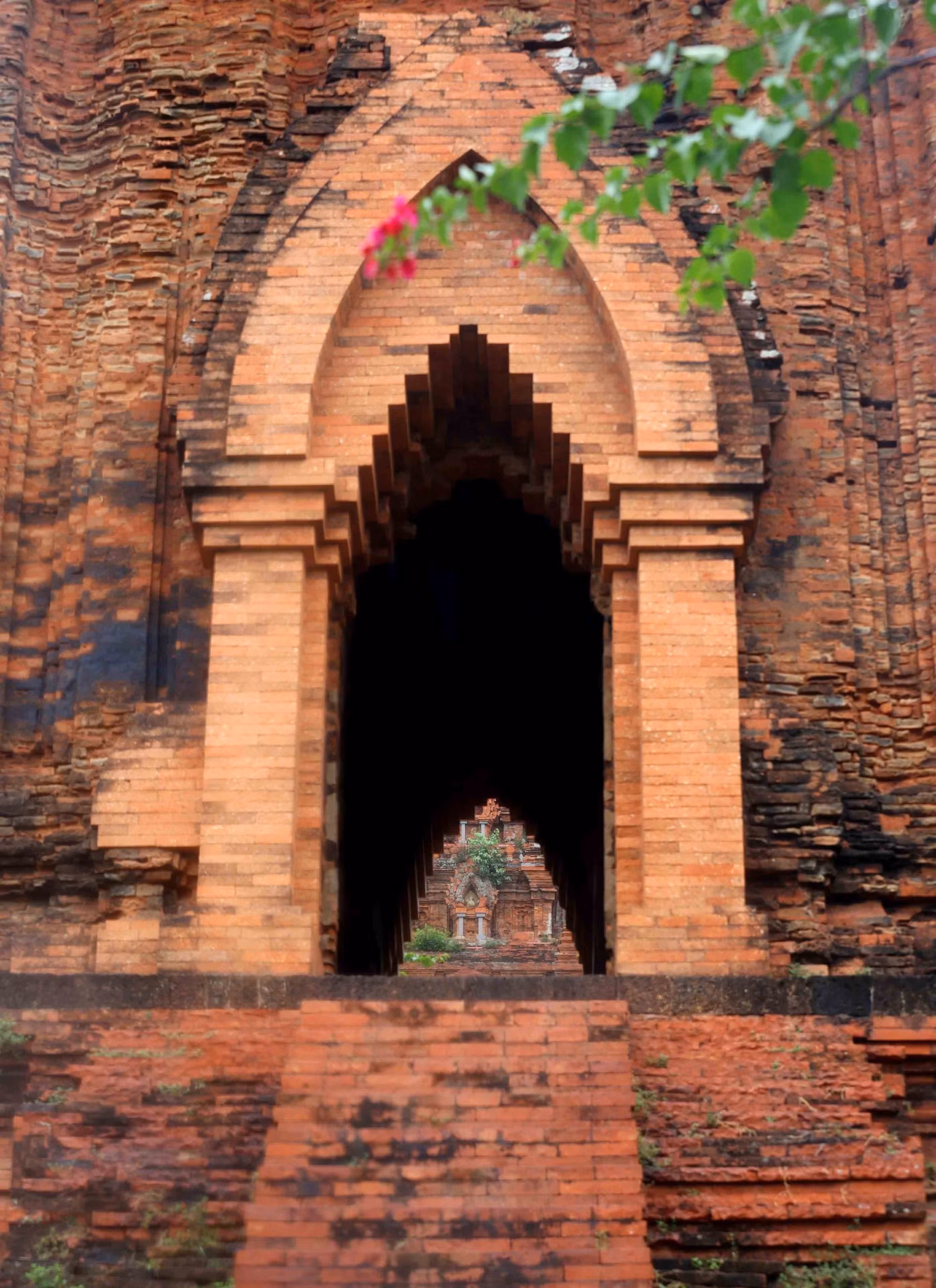 champa-26625.jpg