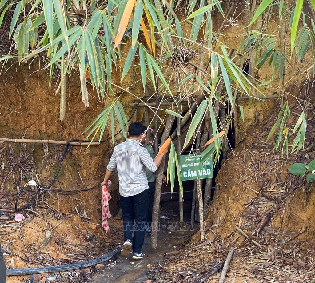 Rào chắn, cảnh báo cấm vào hầm khai thác vàng trái phép tại khoảnh 4, tiểu khu 1716, thuộc địa giới hành chính xã Đắk Ha, huyện Đắk Glong, tỉnh Đắk Nông. Ảnh: TTXVN phát
