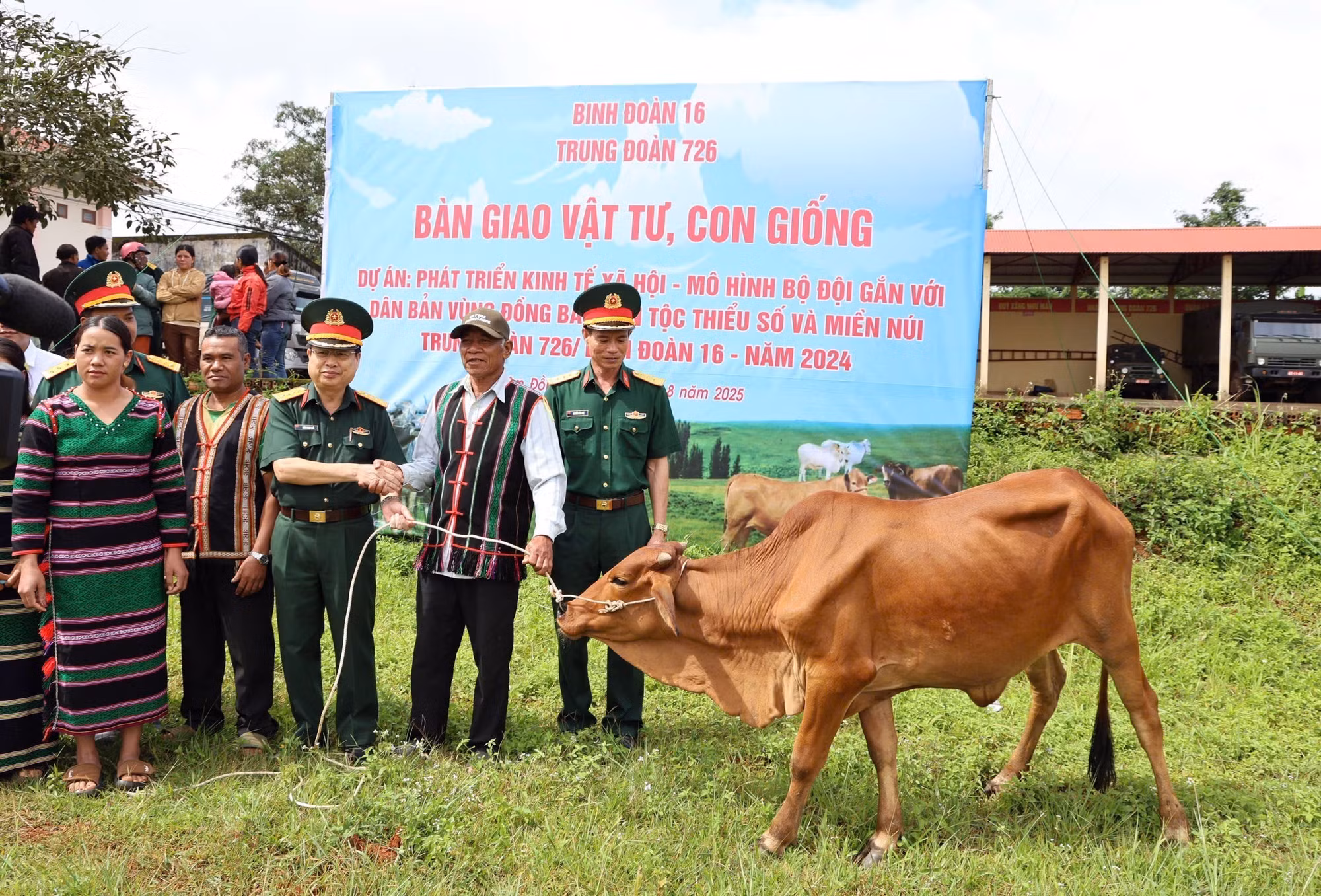 Trao tặng bò giống cho người dân vùng biên Lâm Đồng. Ảnh: TTXVN phát