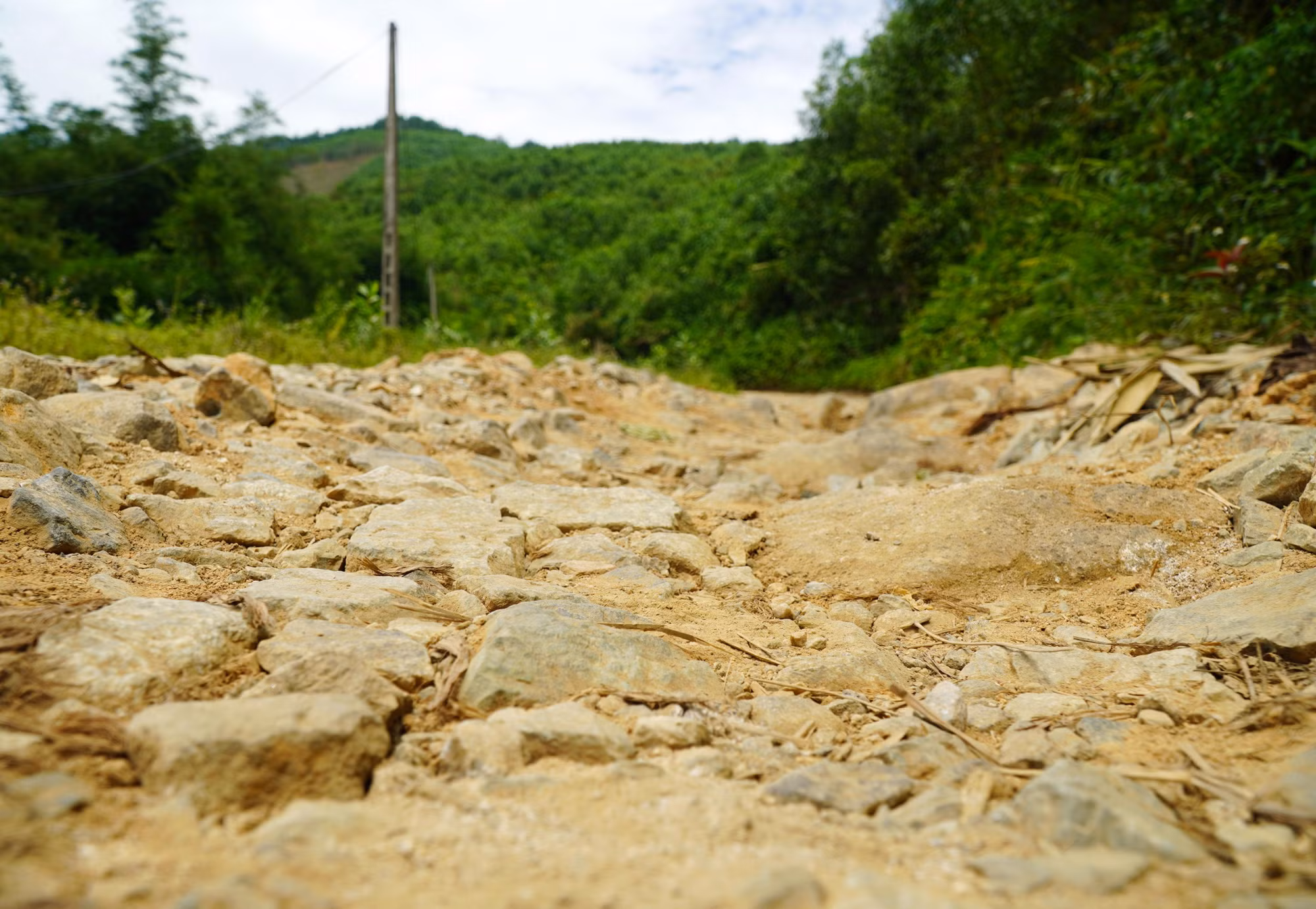duong1-20726.jpg