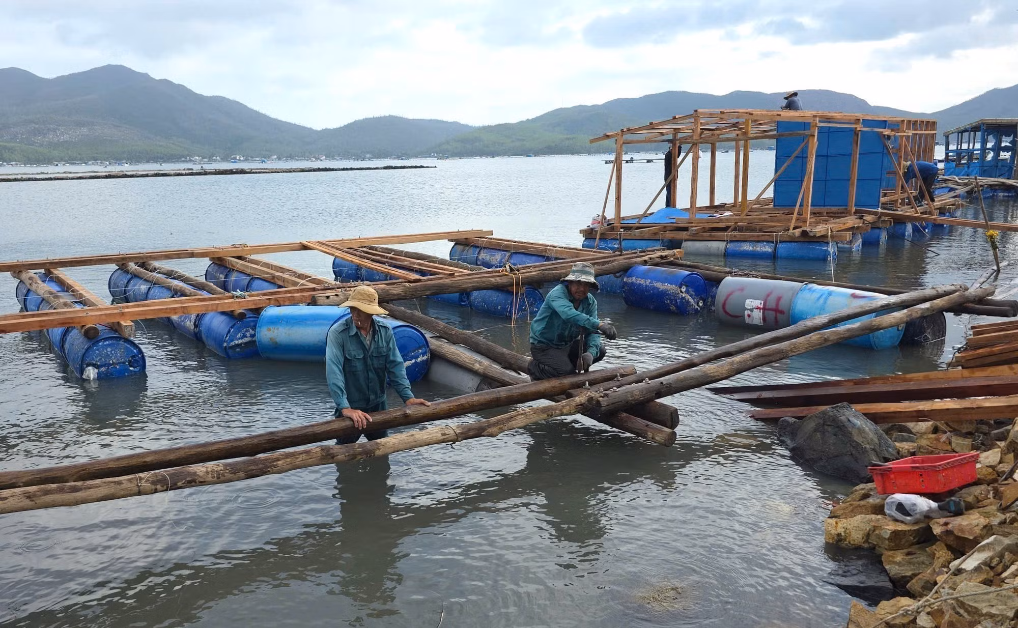 Người nuôi tôm hùm phường Sông Cầu, tỉnh Đắk Lắk xây dựng lại lồng bè nuôi.