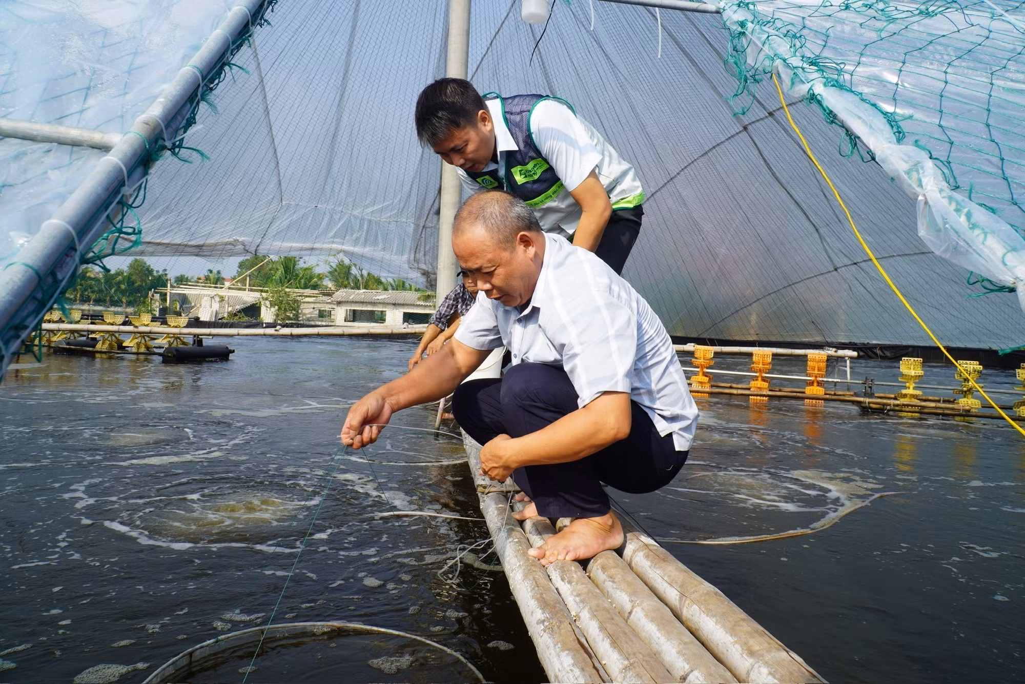 Hộ nuôi thủy sản ông Lê Văn Phương (thôn Châu Triều, xã Hoằng Châu) được cán bộ khuyến nông hướng dẫn các biện pháp khôi phục ao nuôi sau mưa lũ.