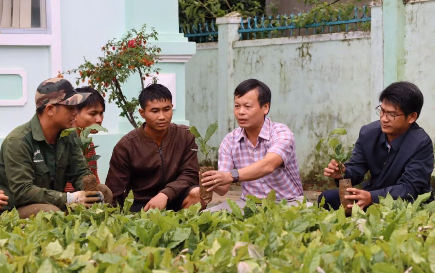 Số cây giống được tiếp nhận tại Đại hội.