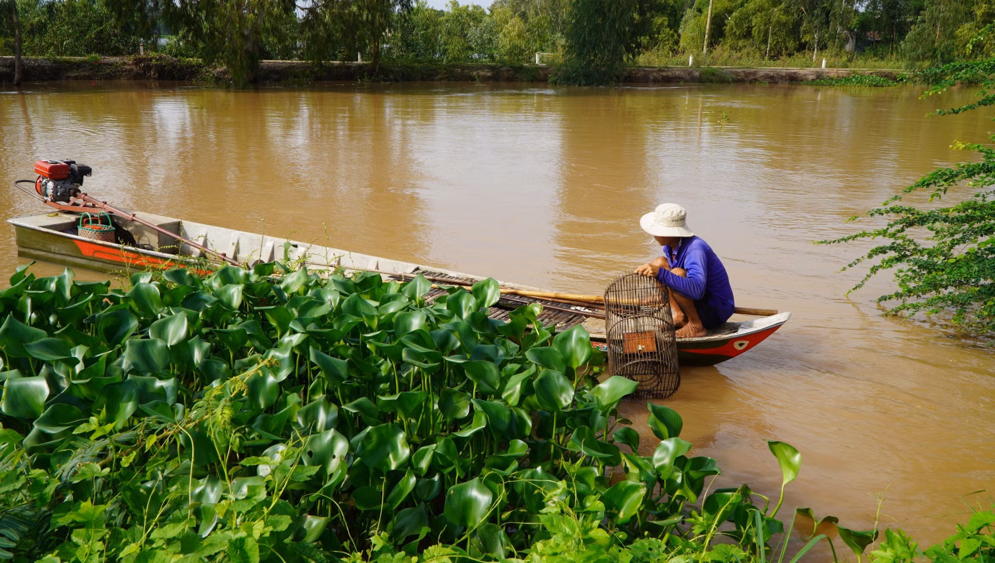 Người dân ở vùng đầu nguồn của tỉnh Đồng Tháp đặt lọp bắt cua đồng.