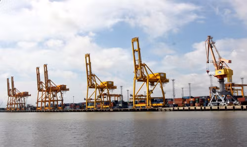Khởi công nâng cấp tuyến luồng kênh Cái Tráp, Hải Phòng ảnh 1