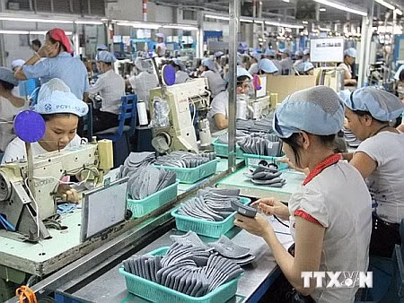 Việt Nam tăng mạnh xuất khẩu sang Brazil ảnh 1