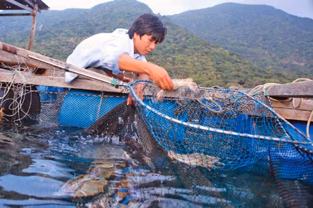 Giá trị của đới bờ ảnh 1