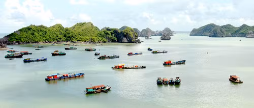 Đa dạng sinh học biển đang suy giảm mạnh ảnh 1