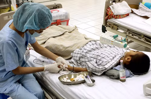 Chưa xác định 10 ca tử vong là do virus viêm não Nhật Bản B ảnh 1