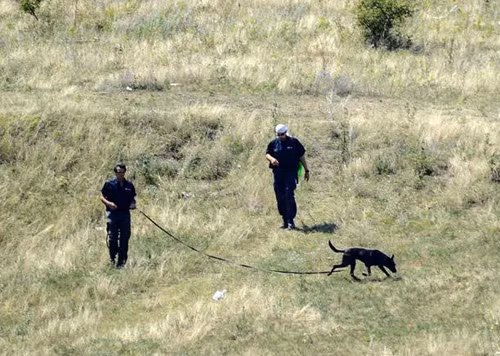 Hoãn tìm kiếm tại hiện trường MH17 vì lý do an toàn ảnh 1