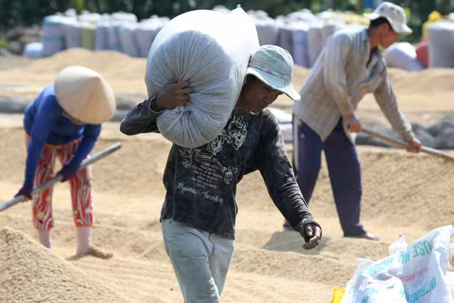 Chính phủ họp phiên thường kỳ tháng 7/2014: Tập trung thúc đẩy phát triển sản xuất ảnh 2