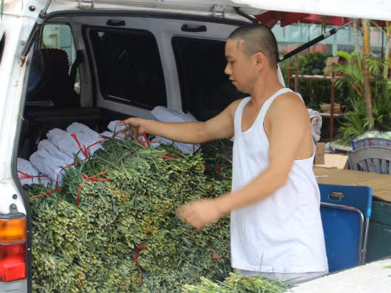 Chợ hoa Quảng Bá tấp nập mùa Vu lan ảnh 1