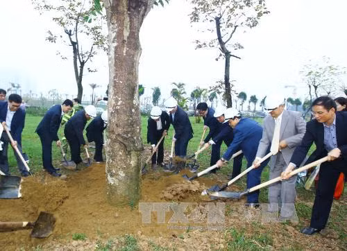 Nhân dân Thủ đô gương mẫu đi đầu và hăng hái thi đua trong việc trồng cây xanh ảnh 1