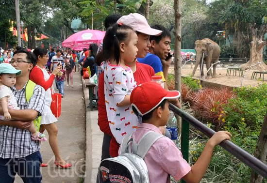 Thảo cầm viên ‘hút khách' trong ngày nghỉ cuối tuần đầu tiên năm Đinh Dậu ảnh 3