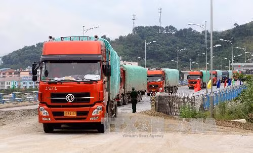 Phó Thủ tướng giao 6 nhiệm vụ trọng tâm phòng chống buôn lậu cho Lào Cai ảnh 1