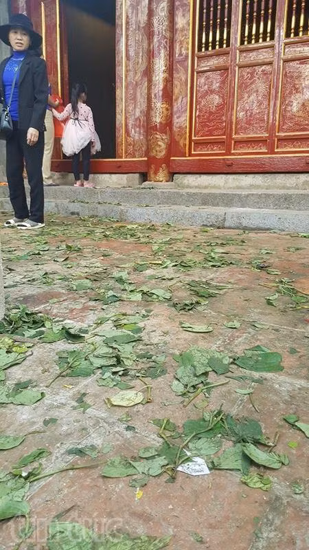 Kiệu hoa tre đền Sóc ‘biến mất’ sau chưa đầy 20 giây, tả tơi hoa lá rơi lại ảnh 7