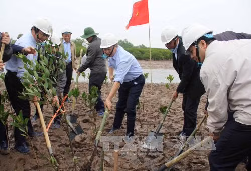 Mít tinh hưởng ứng ngày Đất ngập nước thế giới năm 2017 ảnh 1