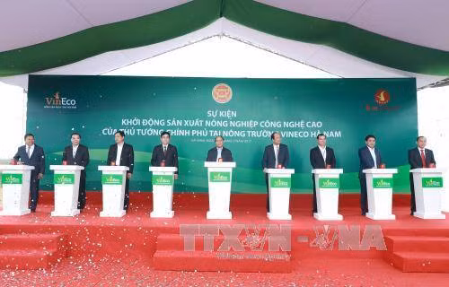 Thủ tướng sẽ trực tiếp giới thiệu sản phẩm nông nghiệp Việt Nam ra thị trường thế giới ảnh 3